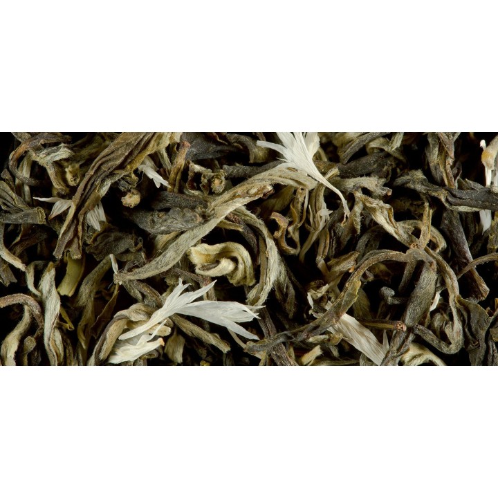 THÉ BLANC - BLANC MYRTILLE