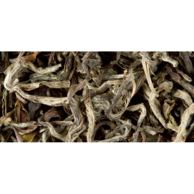 THÉ BLANC - HIMALAYA SHANGRI-LA