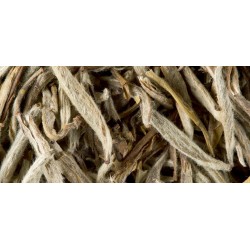 THÉ BLANC - JASMIN YIN ZHEN
