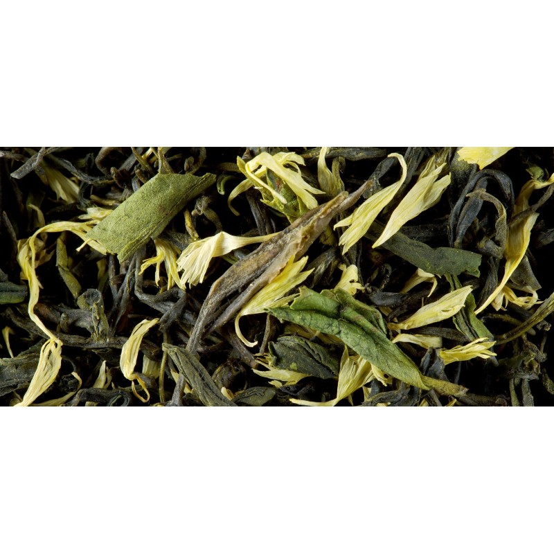 THÉ VERT - EARL GREY VERT PRIMEUR