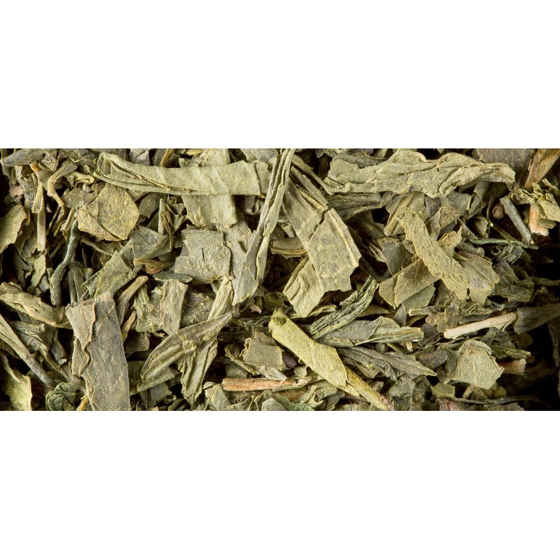 THÉ VERT - SENCHA DE CHINE