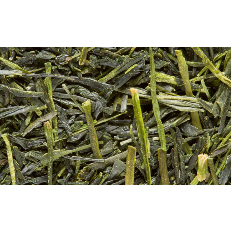 THÉ VERT - SENCHA TENSU