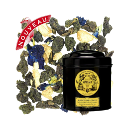 Majestic Lime & Ginger
