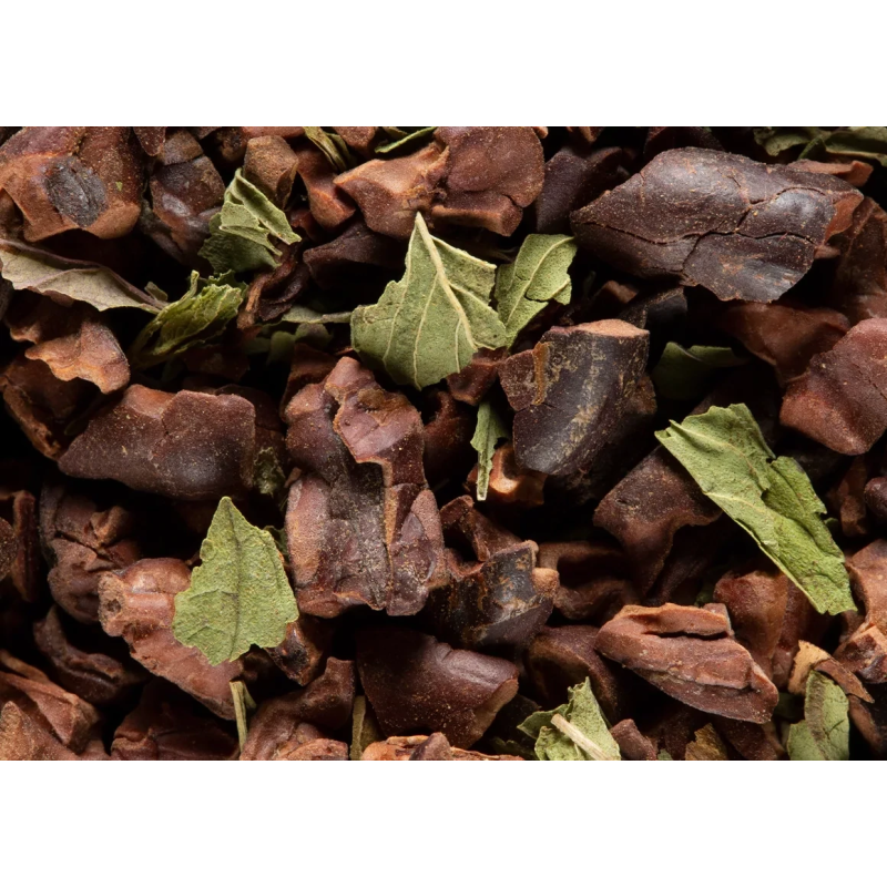 INFUSION - CACAO MENTHE