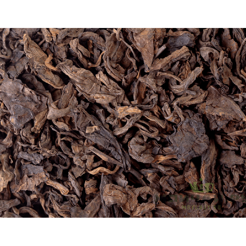 Mengku Lao Shu Chatou, 2005