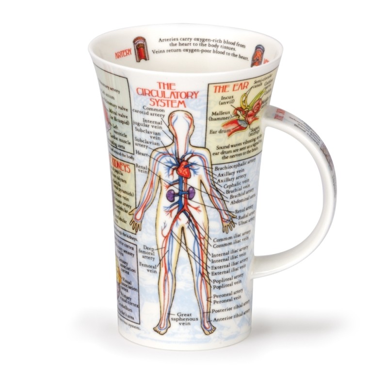 Mug Dunoon Glencoe 0.5L - Bodyworks