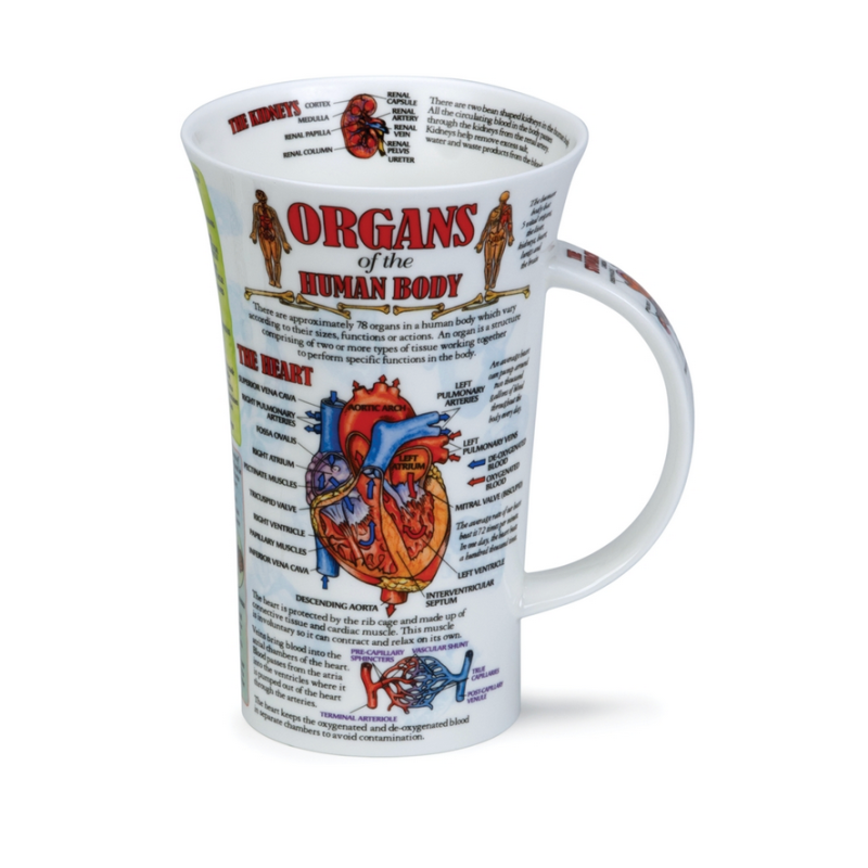 Mug Dunoon Glencoe 0,5 l Organs of the body