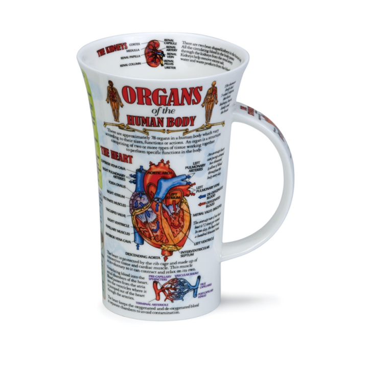 Mug Dunoon Glencoe 0,5 l Organs of the body