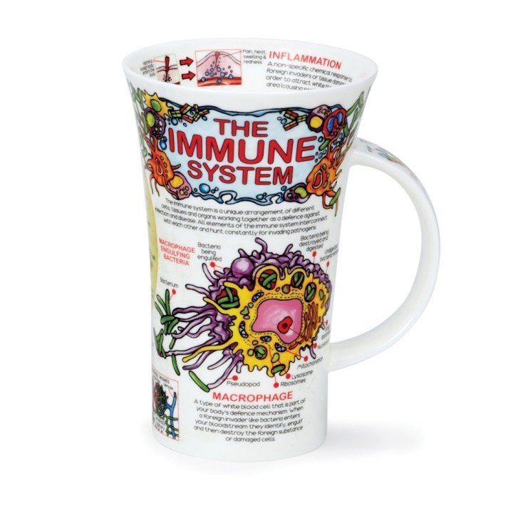 Mug Dunoon Glencoe 0.5L - The Immune System