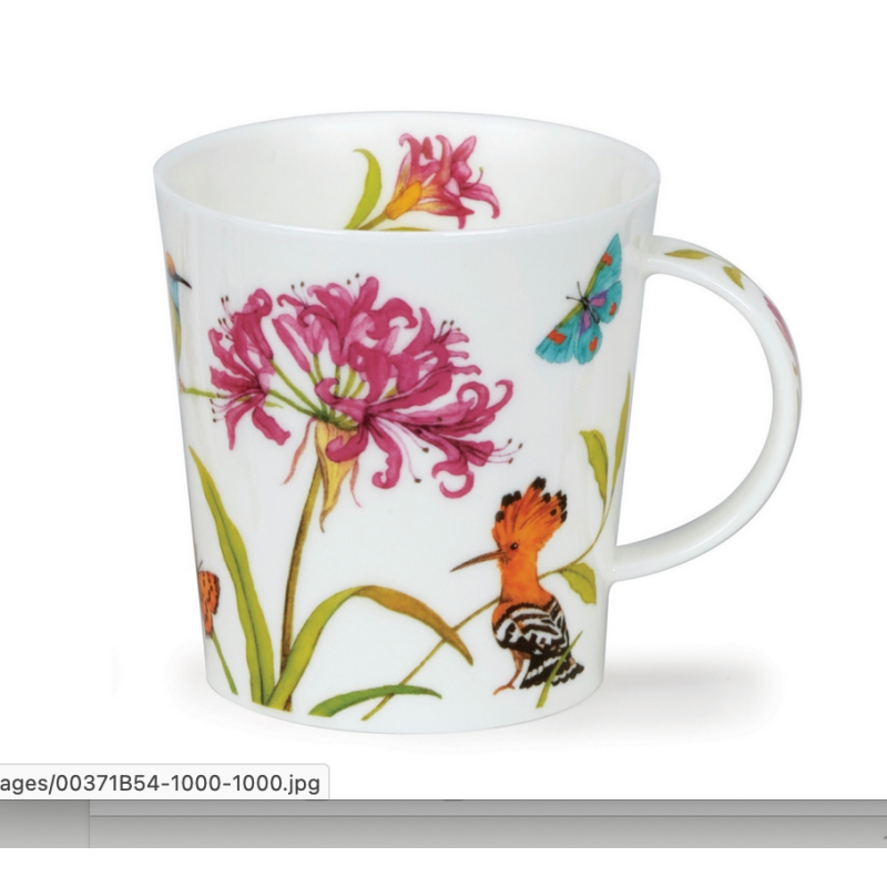 Mug Lomond 0,32L - Dunoon - Exotic Beauty Hoopoe