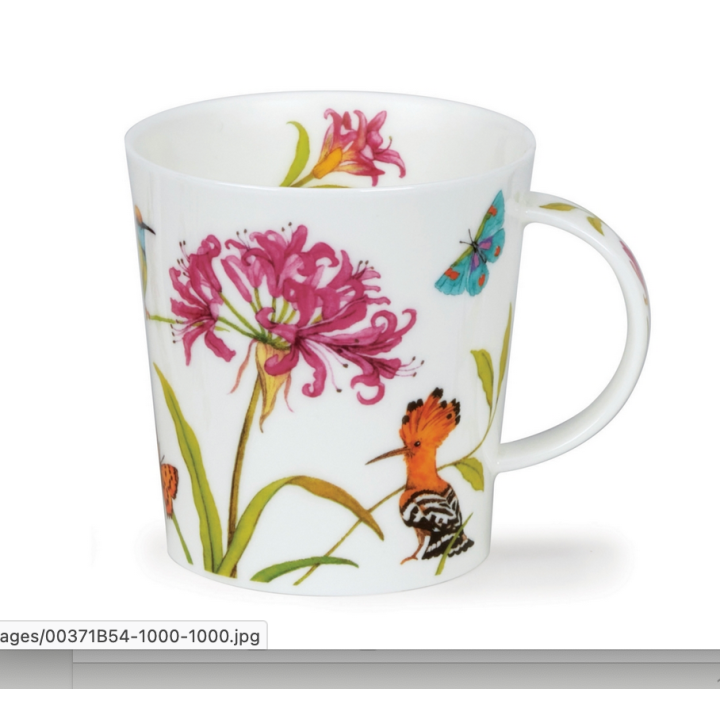 Mug Lomond 0,32L - Dunoon - Exotic Beauty Hoopoe